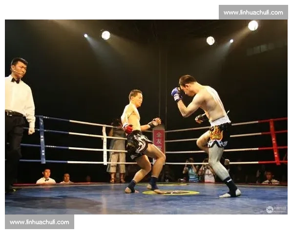 磨砺耕耘育新秀 湖北拳击后备人才建设纪实(上) 磨砺耕耘育新秀 湖北拳击后备人才建设纪实(上)