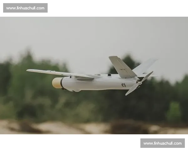 挑战者联盟！大洋洲战队集结，目标直指世界冠军