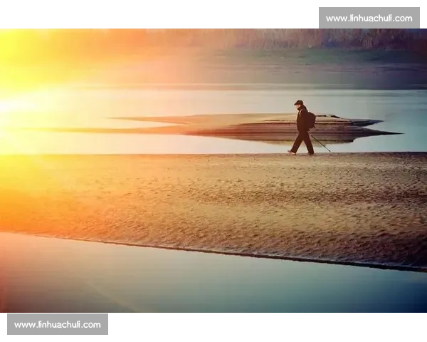 老将的黄昏不！数据榜上依然有他们的身影，经验依旧宝贵！