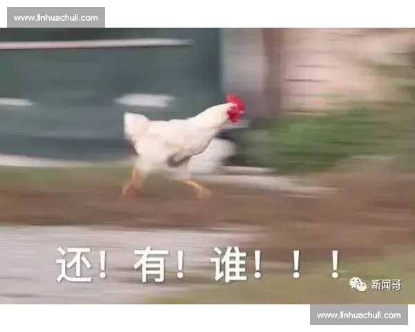 谁主沉浮世界杯经典时刻，谁才是真正的王者