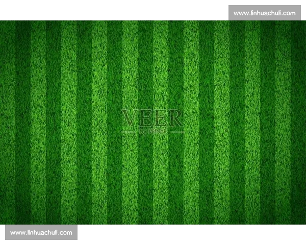 绿色足球理念！环保与竞技并行，为地球献上绿色力量！